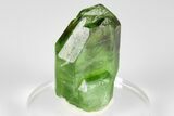 Olivine Peridot Crystal with Ludwigite Inclusions - Pakistan #183966-3